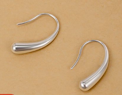 Stainless Steel Teardrop Earrings